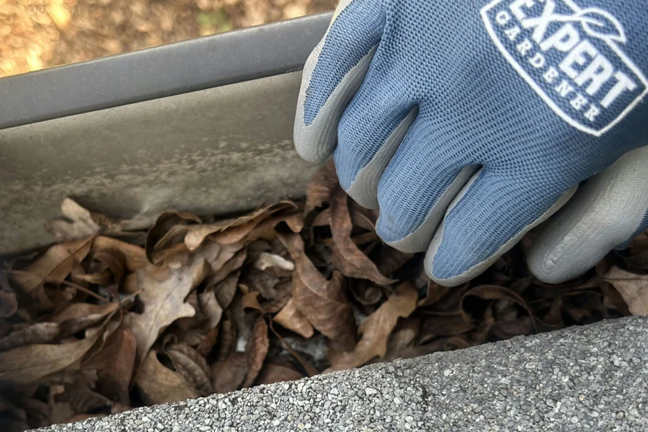 Gutter Cleaning Asheville NC